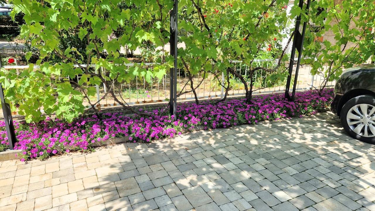 Apartment Pipo Krk Town Exterior photo